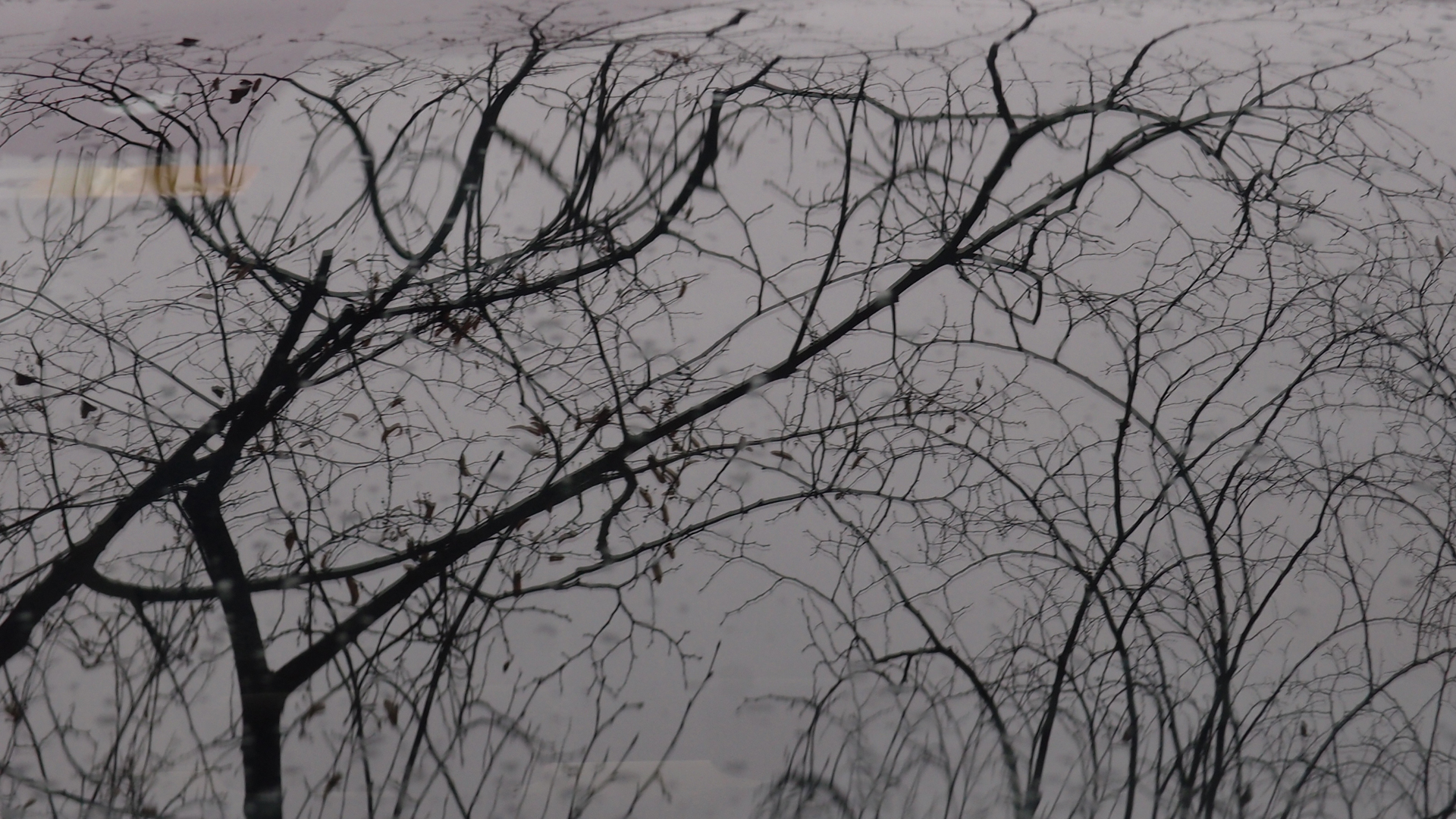 2021-01-06 - 08 Kühlgeträt (On/Off) (Remix John Cage - Empty Words IV)